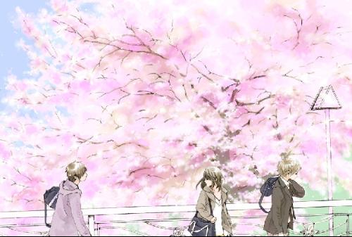 猫咪社区官方在线观看